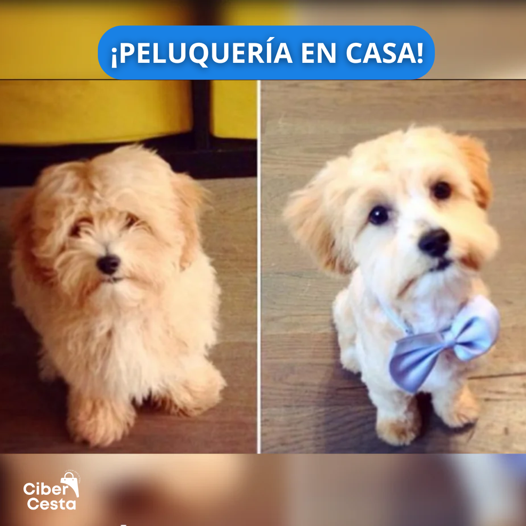 PetGrooming: Kit de Aseo Profesional Para Mascotas