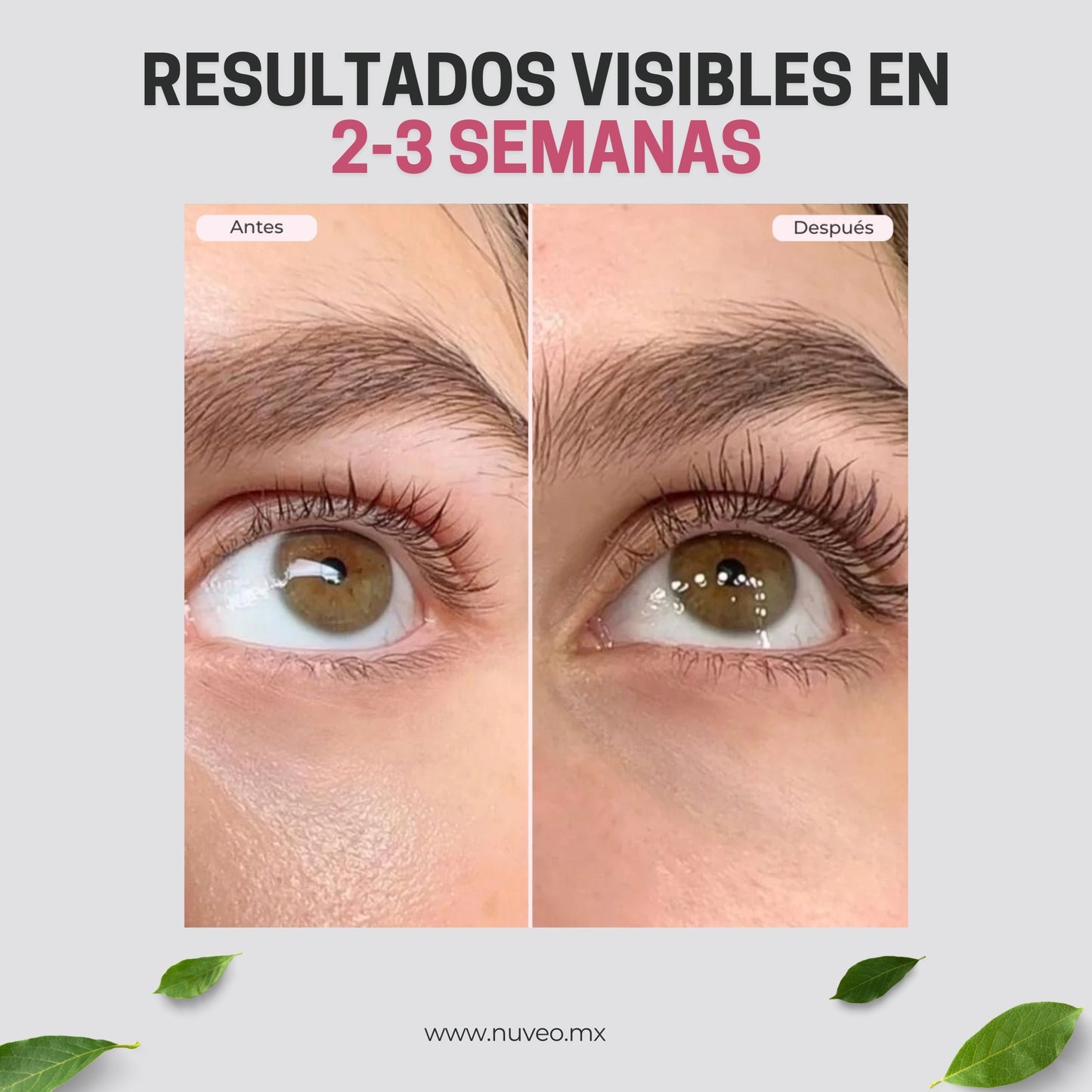 LashBoost: Serum Alargador de Pestañas y Cejas ✨