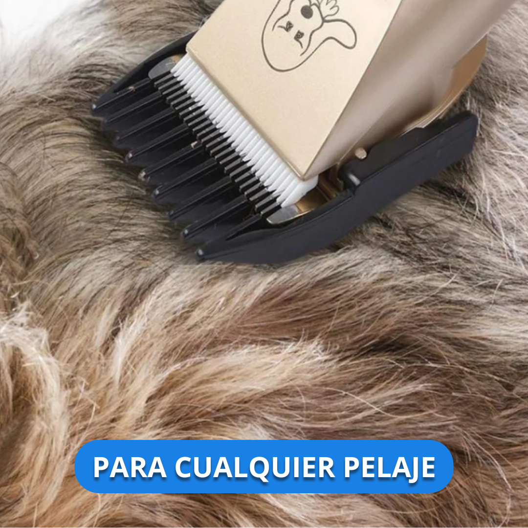 PetGrooming: Kit de Aseo Profesional Para Mascotas