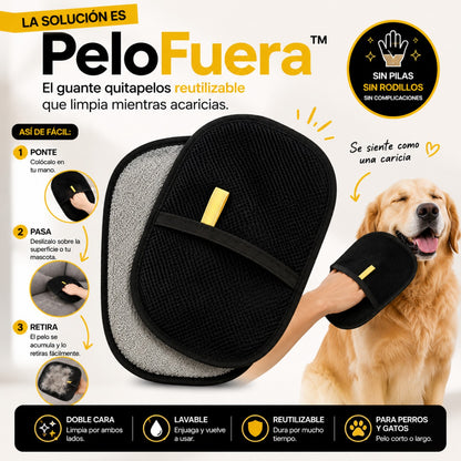 PeloFuera™ | Quita Pelo de Mascotas de Sofá, Ropa y Auto