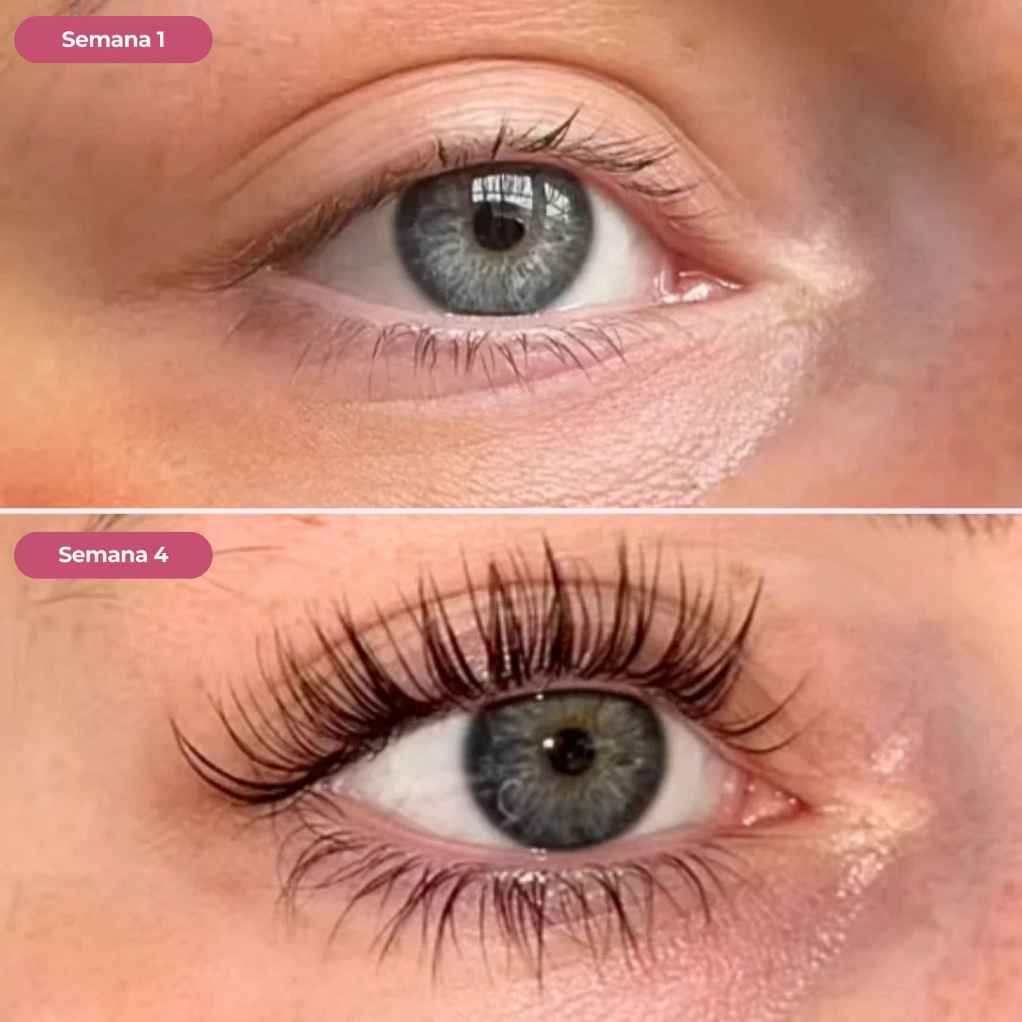 LashBoost: Serum Alargador de Pestañas y Cejas ✨